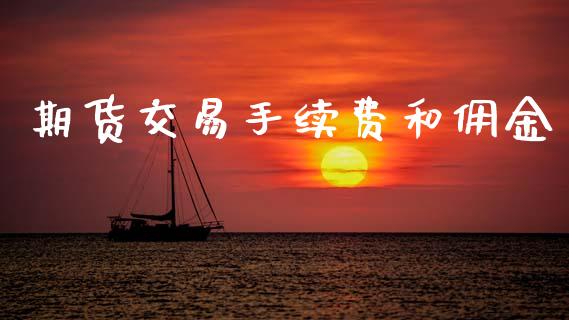 期货交易手续费和佣金_https://wap.hpmsj.cn_基金分析_第1张