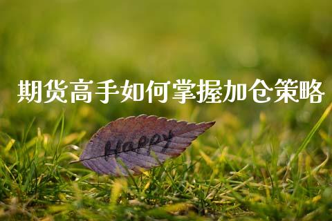 期货高手如何掌握加仓策略_https://wap.hpmsj.cn_外汇汇率_第1张