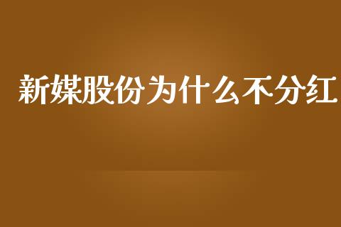新媒股份为什么不分红_https://wap.hpmsj.cn_债券投资_第1张