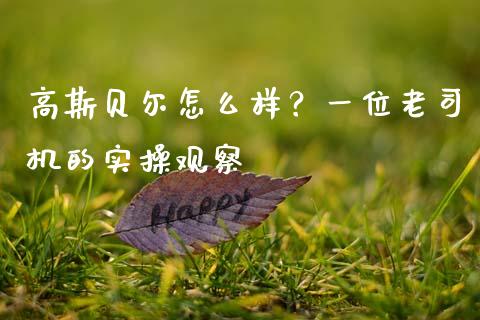 高斯贝尔怎么样？一位老司机的实操观察_https://wap.hpmsj.cn_期货交易_第1张