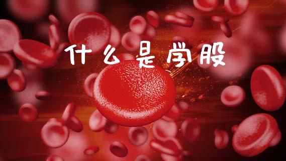 什么是学股_https://wap.hpmsj.cn_金融机构_第1张