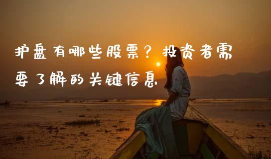 护盘有哪些股票？投资者需要了解的关键信息_https://wap.hpmsj.cn_基金分析_第1张