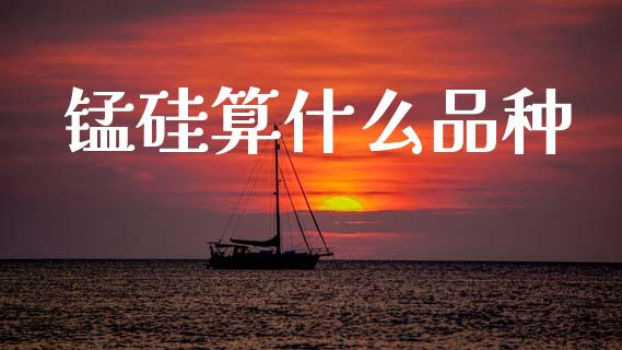 锰硅算什么品种_https://wap.hpmsj.cn_财经时评_第1张