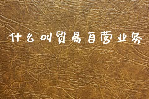 什么叫贸易自营业务_https://wap.hpmsj.cn_财经时评_第1张