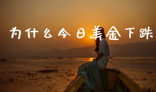 为什么今日美金下跌_https://wap.hpmsj.cn_期货交易_第1张