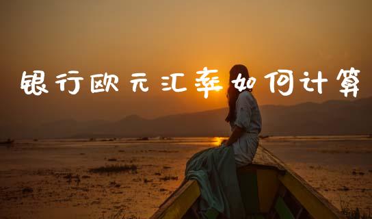 银行欧元汇率如何计算_https://wap.hpmsj.cn_基金分析_第1张