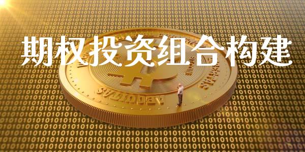 期权投资组合构建_https://wap.hpmsj.cn_财经时评_第1张