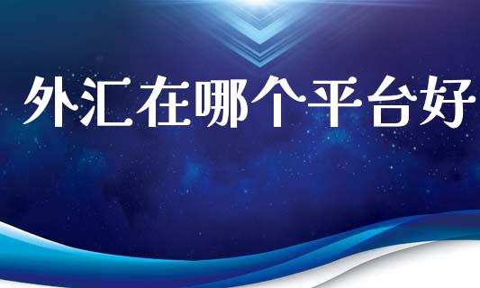 外汇在哪个平台好_https://wap.hpmsj.cn_债券投资_第1张