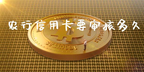 农行信用卡要审核多久_https://wap.hpmsj.cn_基金分析_第1张