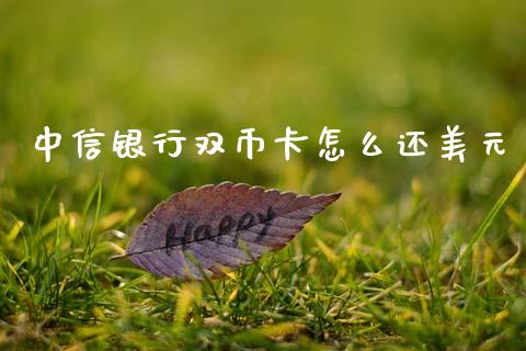 中信银行双币卡怎么还美元_https://wap.hpmsj.cn_财经时评_第1张