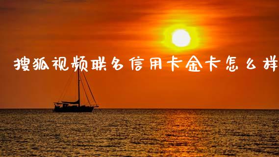 搜狐视频联名信用卡金卡怎么样_https://wap.hpmsj.cn_外汇汇率_第1张