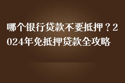 哪个银行贷款不要抵押？2024年免抵押贷款全攻略_https://wap.hpmsj.cn_期货交易_第1张