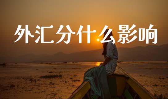 外汇分什么影响_https://wap.hpmsj.cn_基金分析_第1张