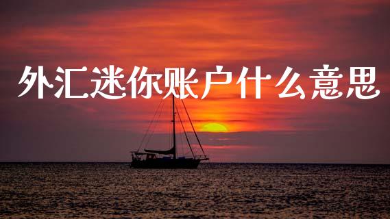 外汇迷你账户什么意思_https://wap.hpmsj.cn_基金分析_第1张