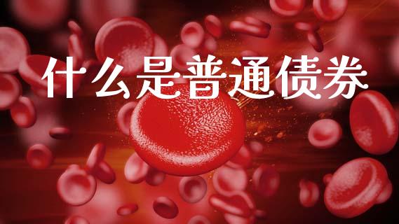 什么是普通债券_https://wap.hpmsj.cn_基金分析_第1张