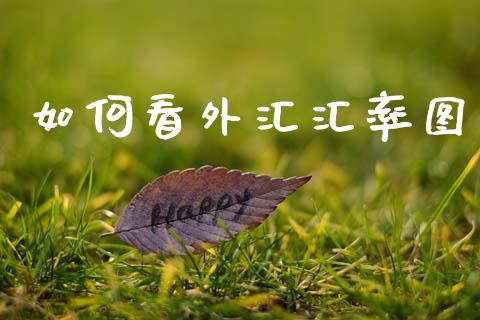如何看外汇汇率图_https://wap.hpmsj.cn_期货交易_第1张