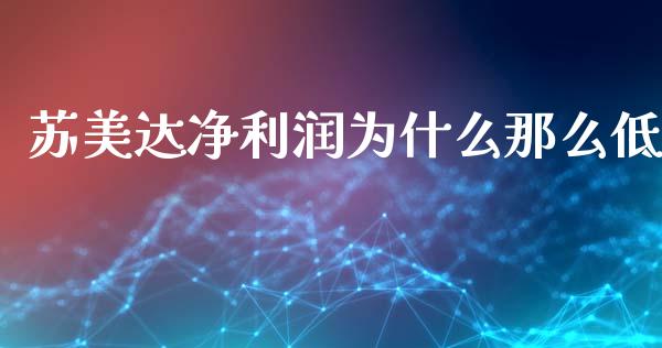 苏美达净利润为什么那么低_https://wap.hpmsj.cn_债券投资_第1张