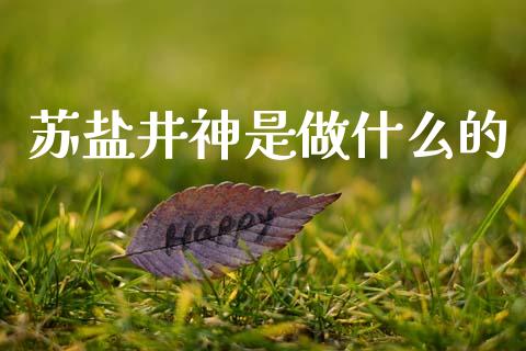 苏盐井神是做什么的_https://wap.hpmsj.cn_外汇汇率_第1张