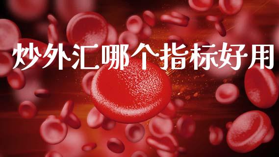 炒外汇哪个指标好用_https://wap.hpmsj.cn_债券投资_第1张