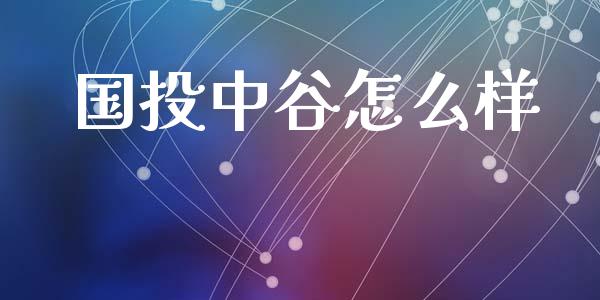 国投中谷怎么样_https://wap.hpmsj.cn_债券投资_第1张
