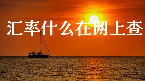 汇率什么在网上查_https://wap.hpmsj.cn_外汇汇率_第1张