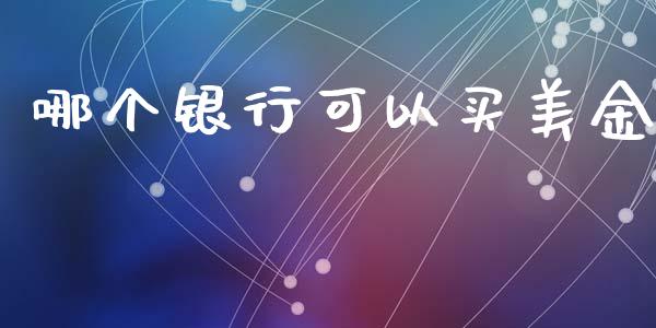 哪个银行可以买美金_https://wap.hpmsj.cn_债券投资_第1张