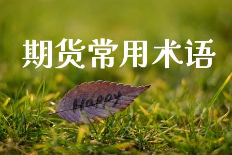 期货常用术语_https://wap.hpmsj.cn_基金分析_第1张