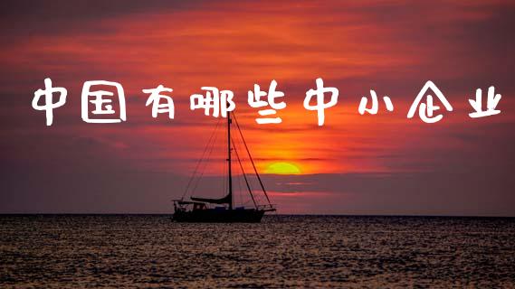中国有哪些中小企业_https://wap.hpmsj.cn_金融机构_第1张