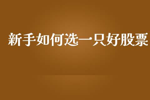 新手如何选一只好股票_https://wap.hpmsj.cn_财经时评_第1张