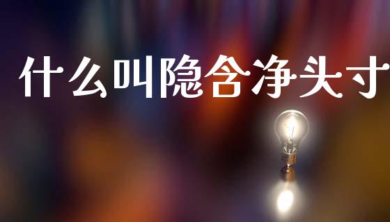 什么叫隐含净头寸_https://wap.hpmsj.cn_金融机构_第1张