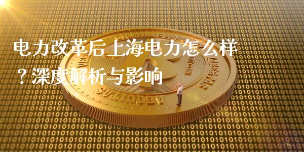 电力改革后上海电力怎么样？深度解析与影响_https://wap.hpmsj.cn_期货交易_第1张