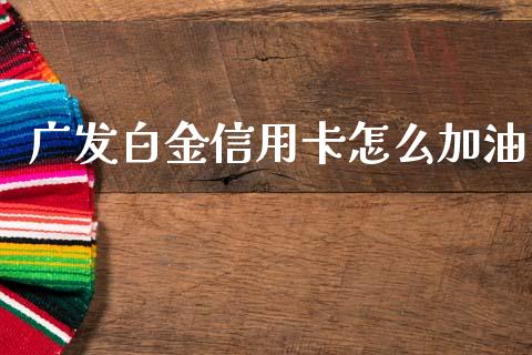 广发白金信用卡怎么加油_https://wap.hpmsj.cn_财经时评_第1张