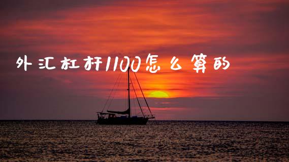 外汇杠杆1100怎么算的_https://wap.hpmsj.cn_基金分析_第1张