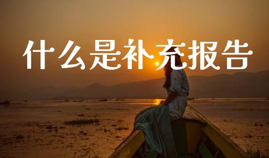 什么是补充报告_https://wap.hpmsj.cn_期货交易_第1张