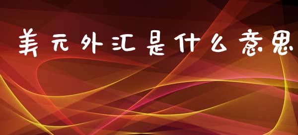 美元外汇是什么意思_https://wap.hpmsj.cn_期货交易_第1张