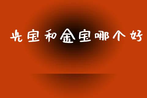光宝和金宝哪个好_https://wap.hpmsj.cn_债券投资_第1张