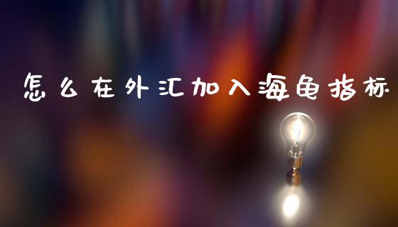 怎么在外汇加入海龟指标_https://wap.hpmsj.cn_基金分析_第1张