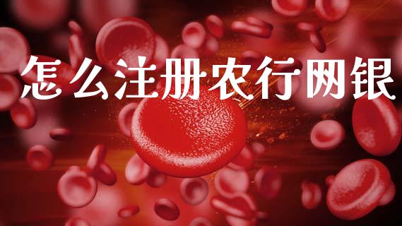 怎么注册农行网银_https://wap.hpmsj.cn_外汇汇率_第1张