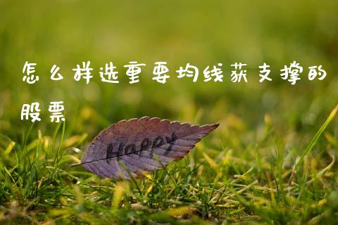 怎么样选重要均线获支撑的股票_https://wap.hpmsj.cn_基金分析_第1张