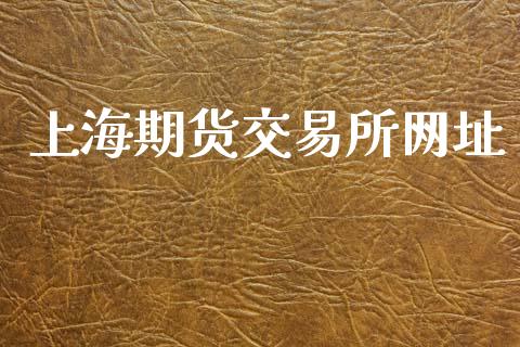 上海期货交易所网址_https://wap.hpmsj.cn_财经时评_第1张