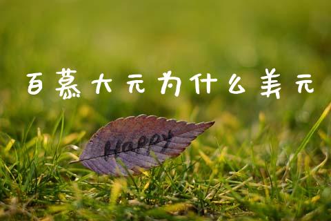 百慕大元为什么美元_https://wap.hpmsj.cn_金融机构_第1张