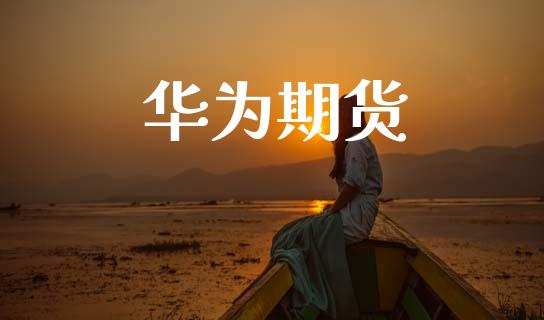 华为期货_https://wap.hpmsj.cn_外汇汇率_第1张