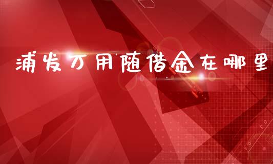 浦发万用随借金在哪里_https://wap.hpmsj.cn_基金分析_第1张