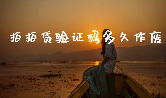 拍拍贷验证码多久作废_https://wap.hpmsj.cn_财经时评_第1张
