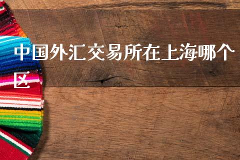 中国外汇交易所在上海哪个区_https://wap.hpmsj.cn_期货交易_第1张