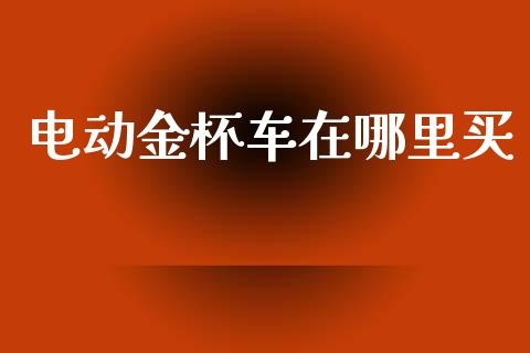 电动金杯车在哪里买_https://wap.hpmsj.cn_金融机构_第1张