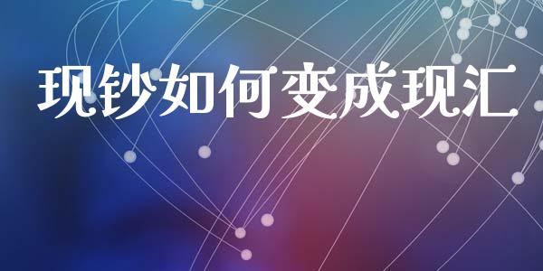 现钞如何变成现汇_https://wap.hpmsj.cn_债券投资_第1张