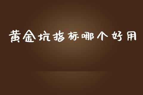 黄金坑指标哪个好用_https://wap.hpmsj.cn_金融机构_第1张