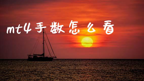 mt4手数怎么看_https://wap.hpmsj.cn_期货交易_第1张