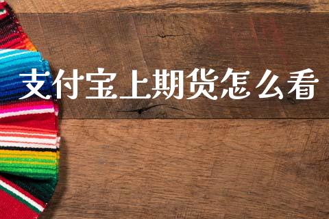 支付宝上期货怎么看_https://wap.hpmsj.cn_基金分析_第1张